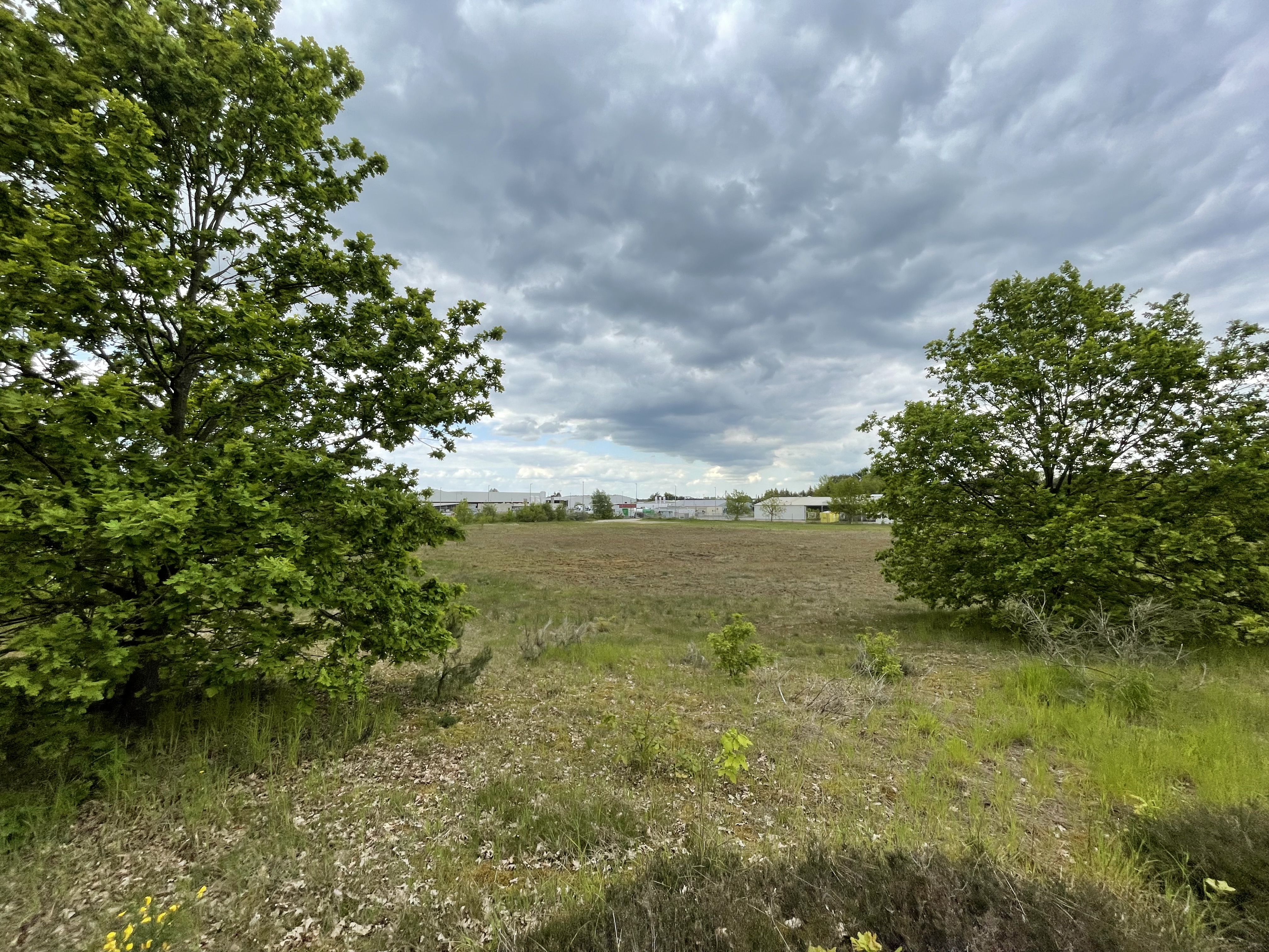 Fläche in der Gebrüder-Heyn-Straße 